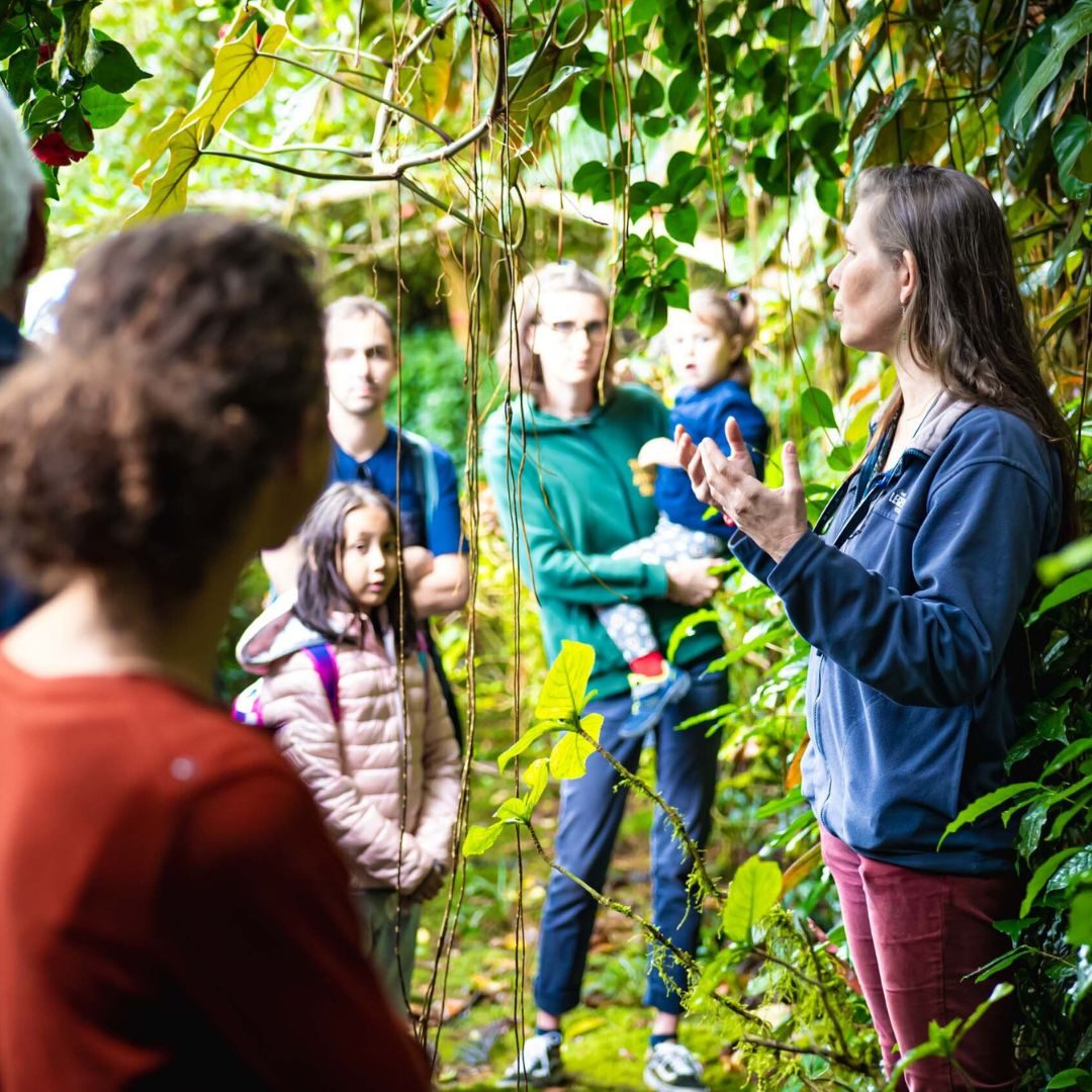 visite jardin botanique la réunion