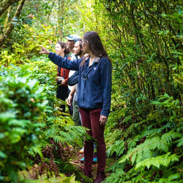 Jardin botanique la réunion
