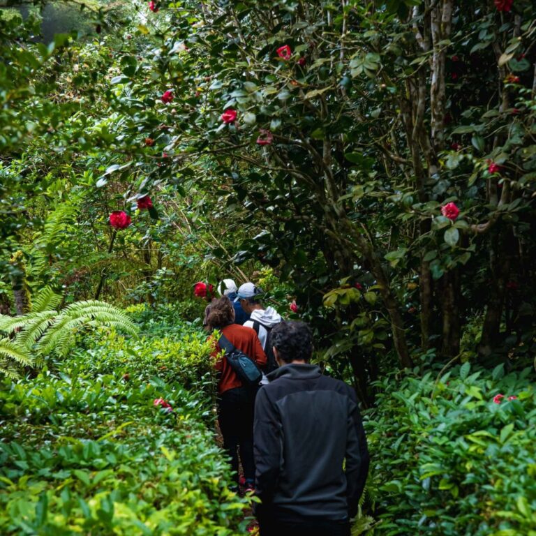 visite scolaire jardin botanique la réunion